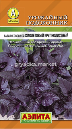 Базилик Фиолетовый крупнолистный Аэлита