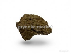 diting_result_fef15ddba9d711f1a8822a8d039f1a15_1