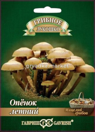 Мицелий Опенок летний на древесной палочке 12 шт (Гавриш)