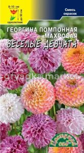 Георгина Веселые Девчата 0.2г Одн смесь 50см (Цвет сад)