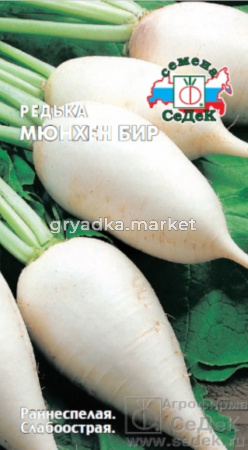 Редька Мюнхенская Пивная (Седек)