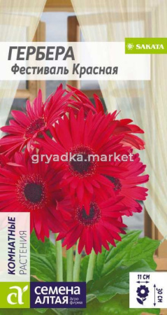 Гербера Фестиваль Красная-Сем Алт-цп 3 шт.