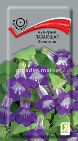 Азарина Фиолетовая окрасока лазающая 10шт Одн 250см (Поиск)