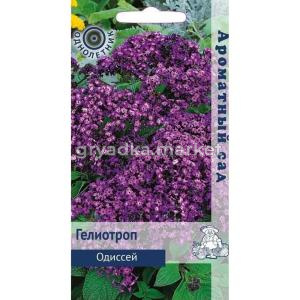Гелиотроп Одиссей (ЦВ) (