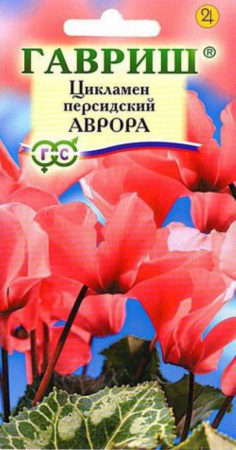 Цикламен Аврора персидский 3 шт. Гавриш