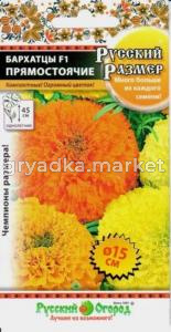 Бархатцы пр.Русский Размер F1 смесь 7шт -40см- НК