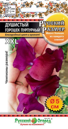 Душистый горошек Русский размер Пурпурный 6 шт. НК