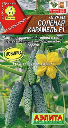 Огурец Соленая карамель F1 10шт Пч Ранн (Аэлита)