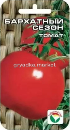 Томат Бархатный сезон 20шт(Сиб сад) ср-ран 70см