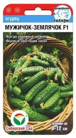 Огурец Мужичок-землячок F1 7шт (Сиб Сад)