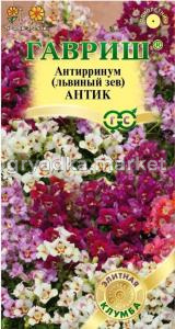 Антирринум (Львиный зев) Антик 7шт (Гавриш) Элитная клумба Н23