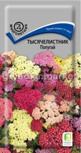 Тысячелистник Попугай (ЦВ) (
