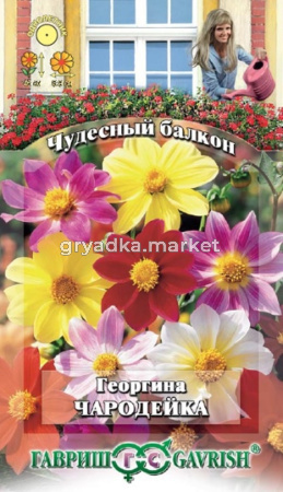 Георгина Чародейка смесь 0,3г Чудесный балкон