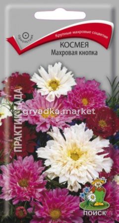 Космея Махровая кнопка 0,1г Поиск