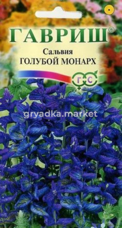 Сальвия Голубой монарх 0,05 Гавриш