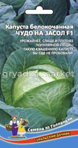 Капуста б-к Чудо на Засол F1 (УД) ЧСС -идеален для квашения,засола,до 4кг-
