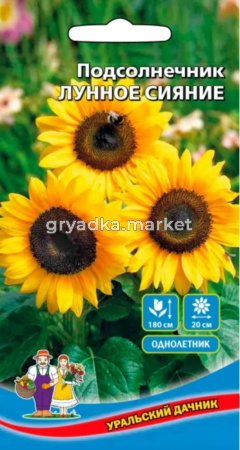 Подсолнечник Лунное сияние 10шт Ранн (УД)