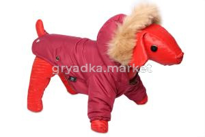 Зимняя куртка для собак Lion Winter парка LP057 (Размер L (спинка 30 см))