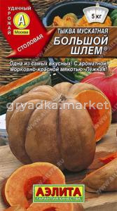 Тыква Большой шлем мускатная (Аэлита)