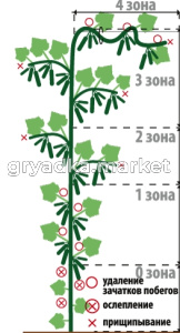 Скриншот 28-01-2026 141630