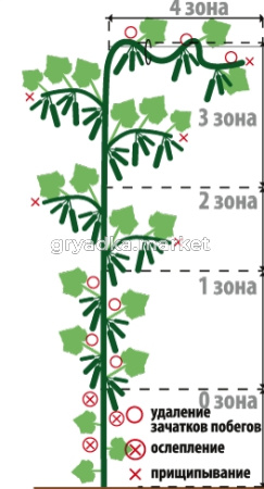 Скриншот 28-01-2026 141630