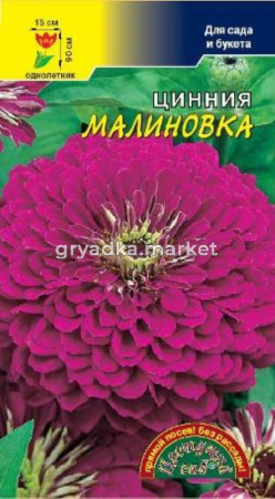 Цинния Малиновка Цвет.сад.