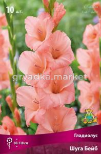 Гладиолус крупноцветковый Шуга Бейб 10шт (нежно-лососевый-розовый, 10-12, h110см)