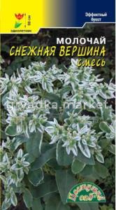 Молочай-эуфорбия Снежная вершина Цвет.Сад (д-цв.ковров)