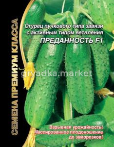 Огурец Преданность F1 (УД) ЧСС