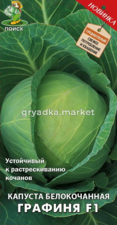 Капуста б-к Графиня F1 (А) (ЦВ) 0,2гр.Поиск