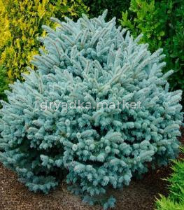 Скриншот 21-04-2026 104400