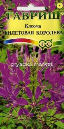 Клеома Фиолетовая королева 0,3г Гавриш