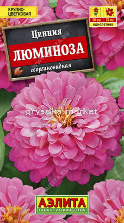Цинния Люминоза, георгин. (Аэлита)