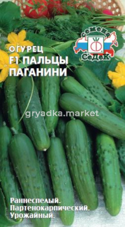 Огурец Пальцы Паганини F1 0,2г -букетный оч.урож!!! (Седек)