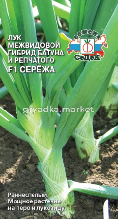 Лук батун Сережа F1 0,3г Ранн (Седек)
