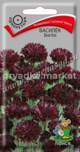 Василёк Блэк бол (ЦВ) (