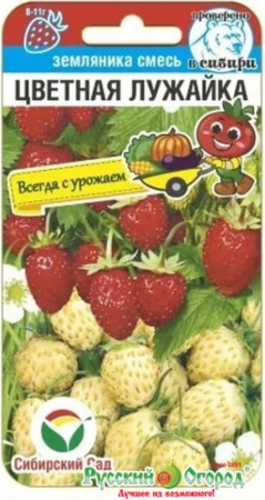 Земляника Цветная лужайка 10шт Ранн (Сиб сад) Земляника Цветная лужайка 10шт Ранн (Сиб сад)
