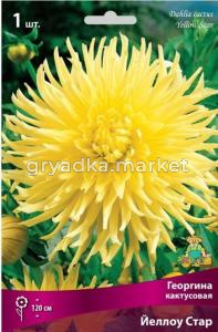 Георгина кактусовая Йеллоу Стар (нежно-жёлтый, диаметр цветка 16 см, дает отличную срезку, 1шт, I)