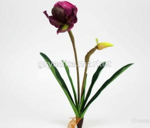 diting_result_4a22e022a9d111f1be4ff64837c935dc_1