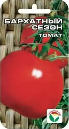 Томат Бархатный сезон 20шт(Сиб сад) ср-ран 70см