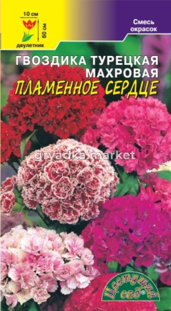 Гвоздика турецкая Пламенное сердце, махр.смесь Цвет.Сад