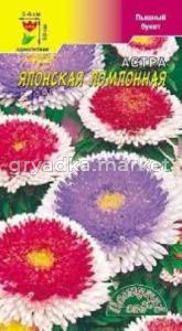 Астра Японская, помпон.смесь Цвет.Сад