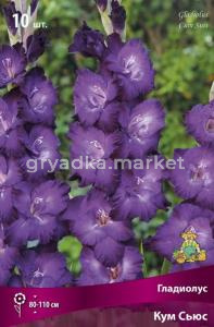 Гладиолус крупноцветковый Кум Сьюс (фиолетово-сиреневый со светлеющим центром, 10шт, 10-12)