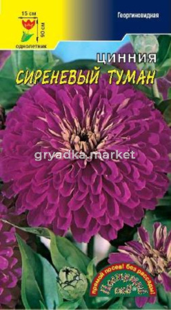 Цинния Сереневый туман Цвет.сад.