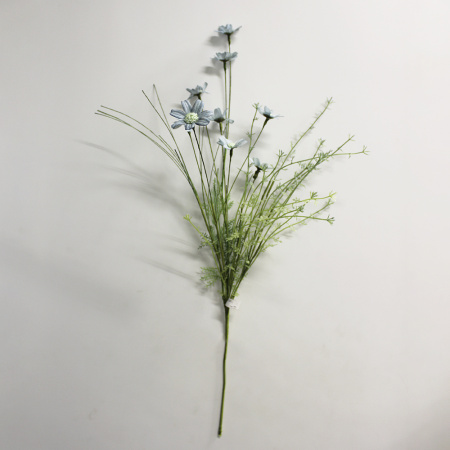 00000182752.2 00000182752.2