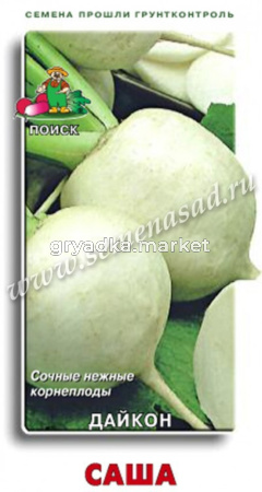 Дайкон Саша 1г (Поиск)
