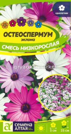 Остеоспермум Смесь низкорослая 0,1г Одн 25см (Сем Алт)
