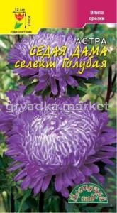 Астра СЕДАЯ ДАМА селект ГОЛУБАЯ Цвет.сад.