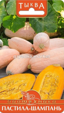 Тыква Пастила-Шампань крупноплодная 5шт Ср (Биотехника)