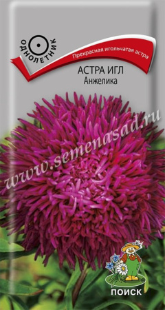 Астра игл Анжелика  0,3гр Поиск